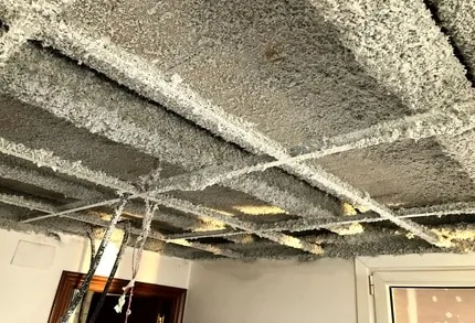 Insuflado de celulosa en fachada de oficinas — Zumarraga